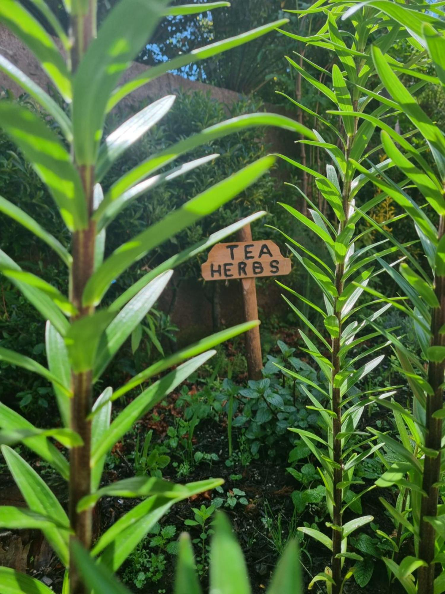Вилла Abrigo Da Serra- Nature Trails Сантана Экстерьер фото